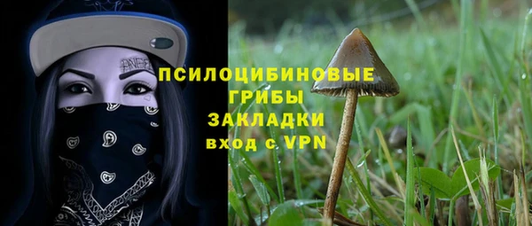 первитин Богданович