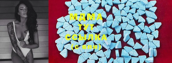 первитин Богданович