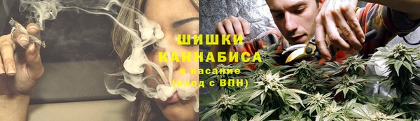 ГАЛЛЮЦИНОГЕННЫЕ ГРИБЫ Богородск