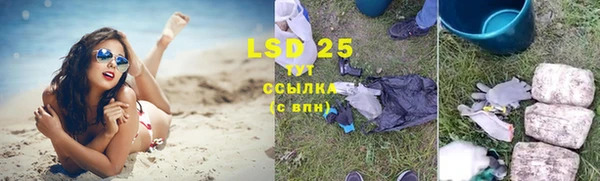 ГАЛЛЮЦИНОГЕННЫЕ ГРИБЫ Богородск